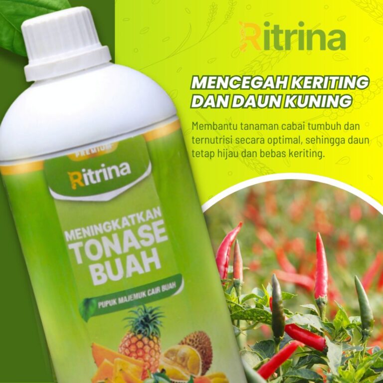 Booster Ritrina 1L